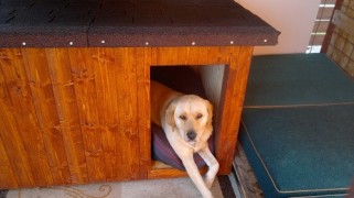 Doghouse toplo serija 195x105x100cm