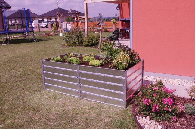 Limes Visoka flowerbed - razširitev barvnega VZP 8-8-5